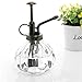 MyGift Decorative Small Glass Vintage Plant Mister Spray Bottle with Top Pump