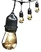 Feit Electric 72041 30 Foot Heavy-Duty Weather Resistant Decorative Indoor and Outdoor 10 Sockets Incandescent String Lights, 30', 11W, Dimmable,Black