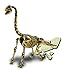 CLUB GENIUS FF253 4 Pack Dinosaurs Skeleton Excavation Kit Set, Fossil Block is White, Tools is Brown Color, 7.4