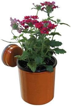 Push 'N Stay Round Suction Flower and Plant Holder Color: Terra Cotta