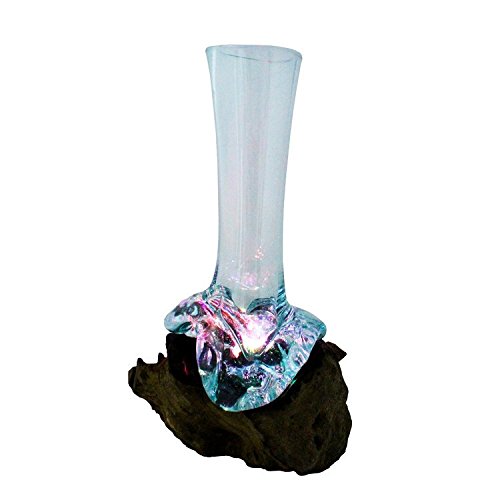 Hand Blown Illuminated Molted Glass and Wood Root Tall Stem Vase