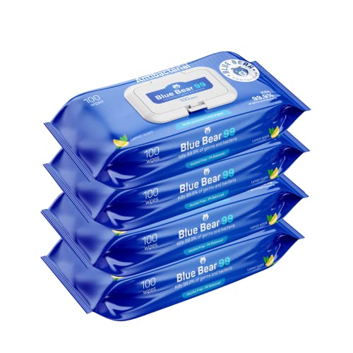Blue Bear Protection Antibacterial Hand Wipes, Wet Wipes, Hand Cleaning