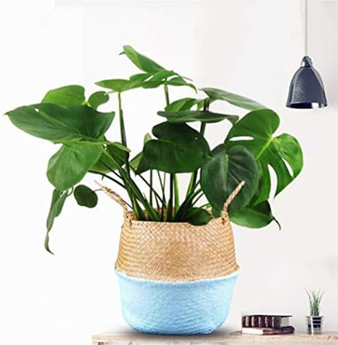 Seagrass Woven Belly Basket with Handles for Plants,Multipurpose Decorative Storage Baskets Flower Pot