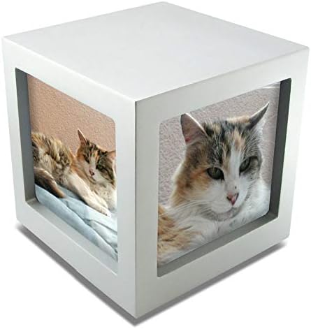 pet cremation photo box