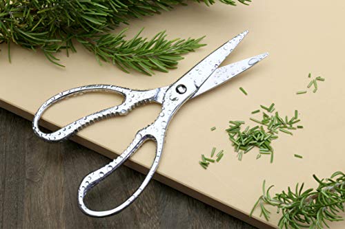 Yoshihiro All Stainless Steel Pull Apart Japanese Kitchen Shears