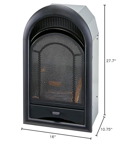 ProCom Dual Fuel Ventless Gas Fireplace Insert with Thermostat