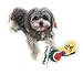 Christmas Dog Stocking Toys. Pack Assorted with Squeaker Inside of Newspaper Toy, Squeaky Boot, a red, Green & White Tennis Ball & red White & Green Knotted Rope Xmas Toy. Small Medium Large Breeds
