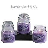 Hosley Set of 3 Lavender Fields Highly Scented, 2.65 Oz Wax, Jar Candle. We Using a Wax Blends with Essential Oil Infused Fragrance Ingredients to Create a Highly Fragranced Aroma. O4