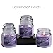 Hosley Set of 3 Lavender Fields Highly Scented, 2.65 Oz Wax, Jar Candle. We Using a Wax Blends with Essential Oil Infused Fragrance Ingredients to Create a Highly Fragranced Aroma. O4