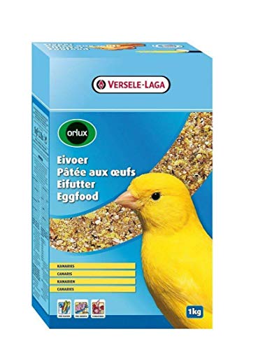 canary bird supplies