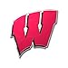 FANMATS 60574 Wisconsin Badgers Heavy Duty Aluminum Embossed Color Emblem, Auto Emblem Decal