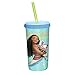 Zak Designs Moana Insulated Tumbler with BPA-Free & Break Resistant Plastic Press On Lid & Straw, 13 oz, Multicolor