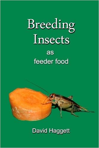 Buy Breeding Insects As Feeder Food Book Online At Low Prices In