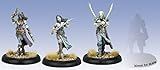 Warmachine Mercenaries The Devil's Shadow Mutineers Privateer Sea Dog Character Unit