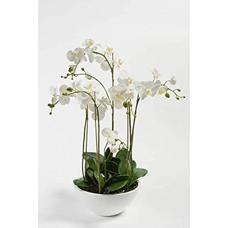 Artplantsde Orchidée Artificielle Alicia En Coupe 6 Tiges Blanche Jaune 80cm Orchidée Décorative Fleur Artificielle