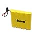 Hosim Rechargeable NiCad Battery and USB Charger RC Crawler 8816 RTR Off Road Truck Vehicle RC Buggy Climbing Car, 4.8V 800mAh High Capacity Battery