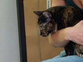 my cat from hell season 4