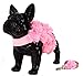 Dashin' Dogz Floral Pink Dog Harness and Matching Leash Set for XSmall and Small Breeds Like Chihuahua, Yorkys, Teacup Breeds