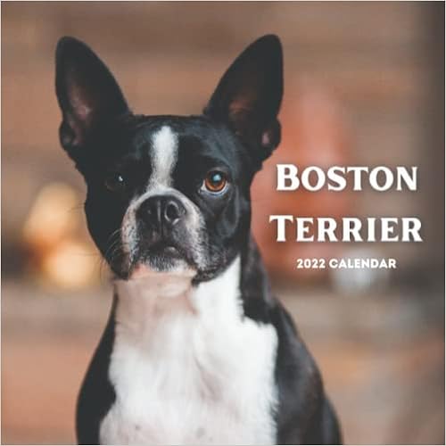 Boston Terrier Calendar 2023 Boston Terrier 2022 Calendar: 18 Months Calendar 2022-2023 For Women, Men,  Kids & Boston Terrier Lovers ,Size 8.5 X 8.5 Inch, Large Box For Record  Dates And Special Events: Publisher, John: 9798490426882: Amazon.com: Books