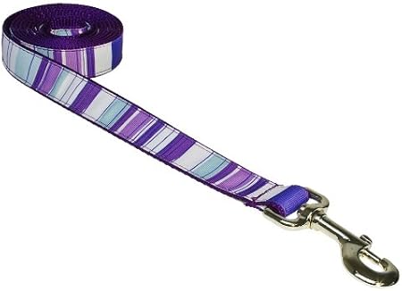 purple dog leashes