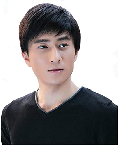 SEXHAIR Mens Human Hair wig Adult Toupee real hair Hairpieces withBangs Replacement Heat Resistant Full Head Adjustable for Daily wedding use