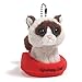 Gund Grumpy Cat Surprise Plush Blind Box Series #1 Plus
