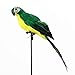 LWINGFLYER Green Artificial Parrot Life Size Foam Feather Parrot Macaw Birds for Decoration Costume Shoulder Ornament Modern Home Garden Party Decor (13.8inch/35cm)