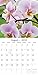 2018 Orchids Calendar - 12 x 12 Wall Calendar - with 210 Calendar Stickers