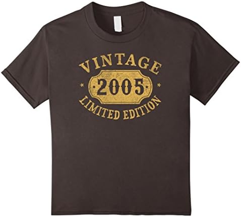 Kids 2005 13 years old 13th B-day Limited Birthday Gift T-Shirt 12 Asphalt