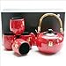 Happy Sales HSTS-PMR02, Japanese Tea Set Teapot Teacup Red Calligraphy