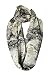 Etwoa Old World Map Print Infinity Scarf Circle Scarf