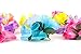 Hula Girl Hibiscus Flower Party Hair Clips - Hawaiian Party Themed Hair Clips, Luau Party Favors - Birthday Party Favors, Tropical Party Decorations (12 Pack) Assorted Colors