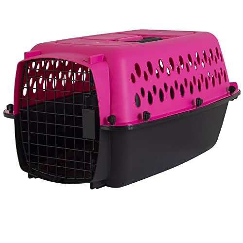 Petmate Pet Porter Fashion Dog Kennel 23", Hot Pink, for Pets up to 15lbs, Made in USA