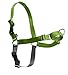PetSafe Easy Walk No-Pull Dog Harness - The Ultimate Harness to Help Stop Pulling - Take Control & Teach Better Leash Manners - Helps Prevent Pets Pulling on Walks, Medium, Apple Green/Gray