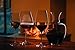 Riedel Veritas New World Pinot Noir Glass