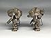 Aquamarine Maschinen Krieger: Mk-01 Raptor & Rapoon Model Building Kit