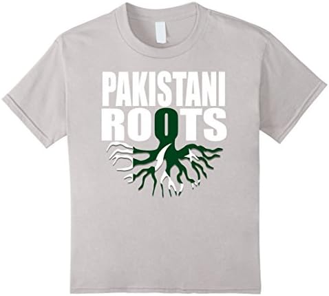Kids Storecastle Pakistani Roots Pakistan Pride Flag Gift T-Shirt 10 Silver
