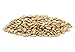 Sincerely Nuts Sunflower Seeds Roasted and Salted, Hulled | No Shell, Gluten-Free Snack, Vegan, and Kosher Certified, 1(LB) Bag
