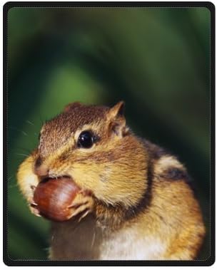 40" x 50" (Small) - Treasure Design Discount Chipmunk Blanket
