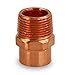 Everflow Supplies CCMA0012 Male Adapter Fitting with C X M Connections, 1/2