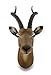 DWK Zeckos 23 Inch Decorative Indoor African Animal Antelope Polyresin Cast Sculpture Wall Hanging Head Bust for Home and Office Decore