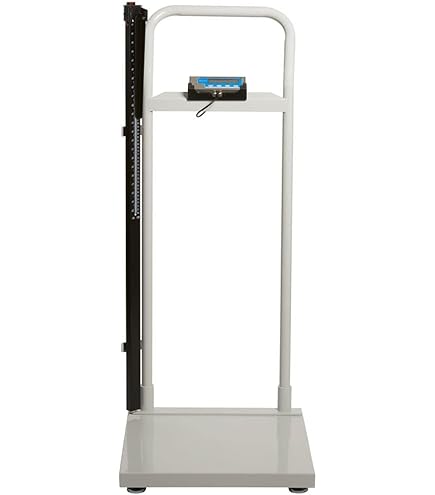 Amazon.com: Salter Scale