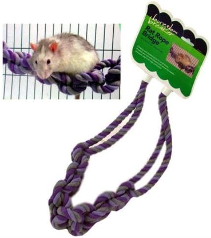 rat boredom breakers