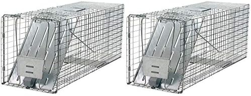 Havahart 1079 Large 1-Door Humane Animal Trap for Raccoons, Cats, Groundhogs, Opossums (Pack of 2)