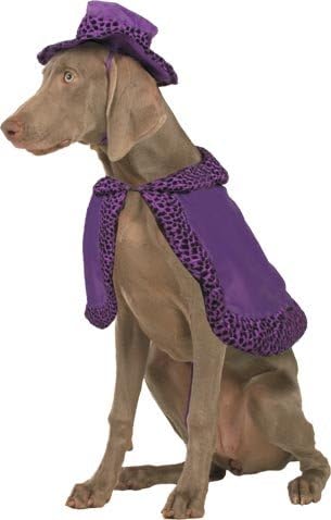 Pet Pimp Suit Dog Costume For Large Dogs by Pet Friendzy