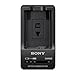 Sony RX-10, RX-10 II, RX-10 III Accessory Bundle - Consists of Sony NPFW50 Rechargeable Battery, Sony 100/240V Quick Charger, Sony Screen Protector