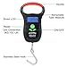 MadBite Portable Fishing Hook Hanging Digital Scale with Tape Measure (Digital Scale)