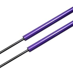 Lift Supports for Honda Accord 10th 2018-2023 Front