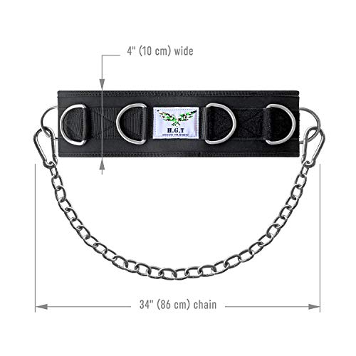 The x Bands Premium Weightlifting Belt with 7 Build-in Rings, Detachable Chain and Adjustment Strap- Weight Lifting, Dip Belt and Mobility Belt in One (Medium)