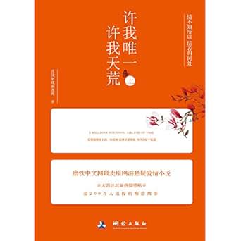 《许我唯一许我天荒》 浅浅烟花渐迷离 书评 简